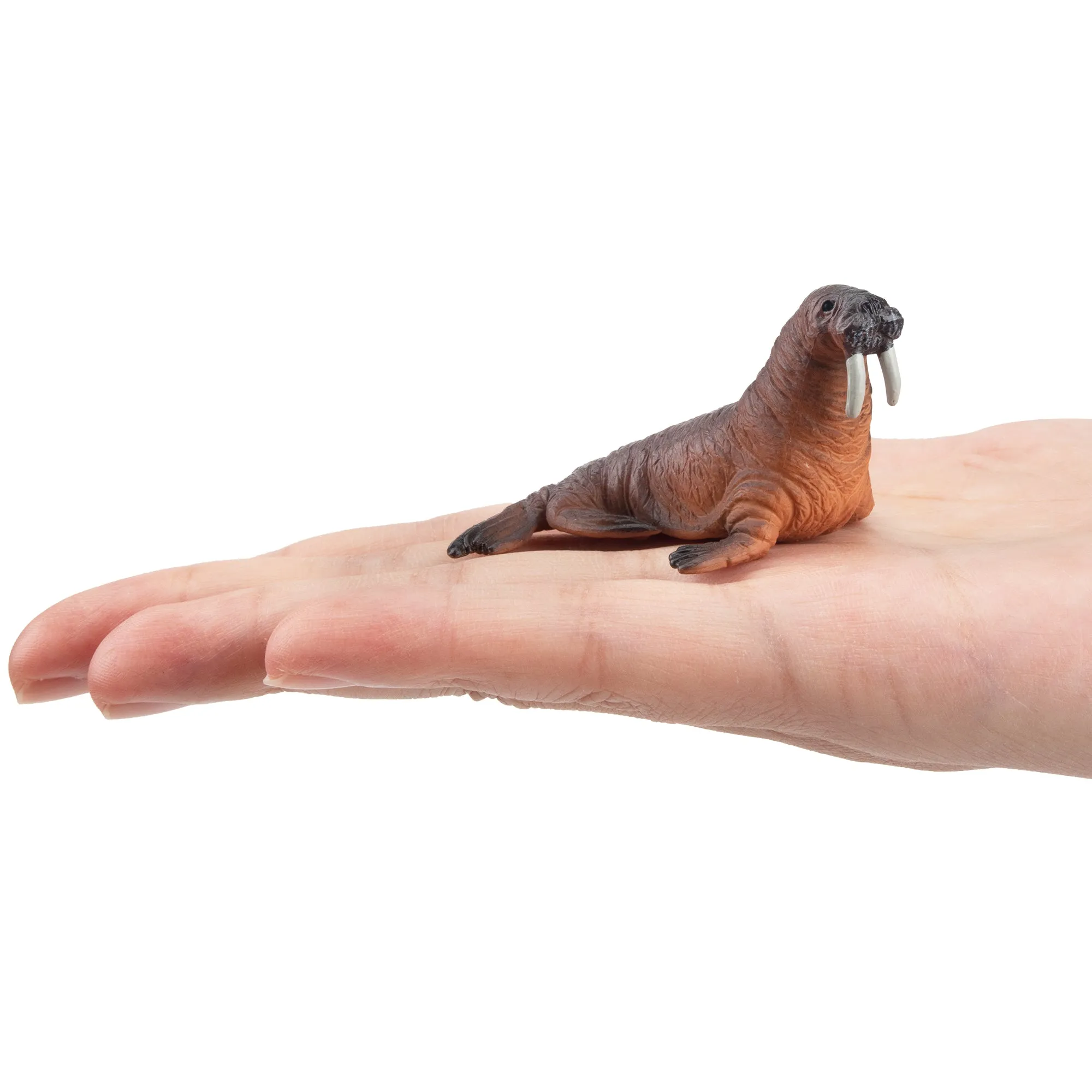 Toymany Walrus Figurine Toy - Small Size