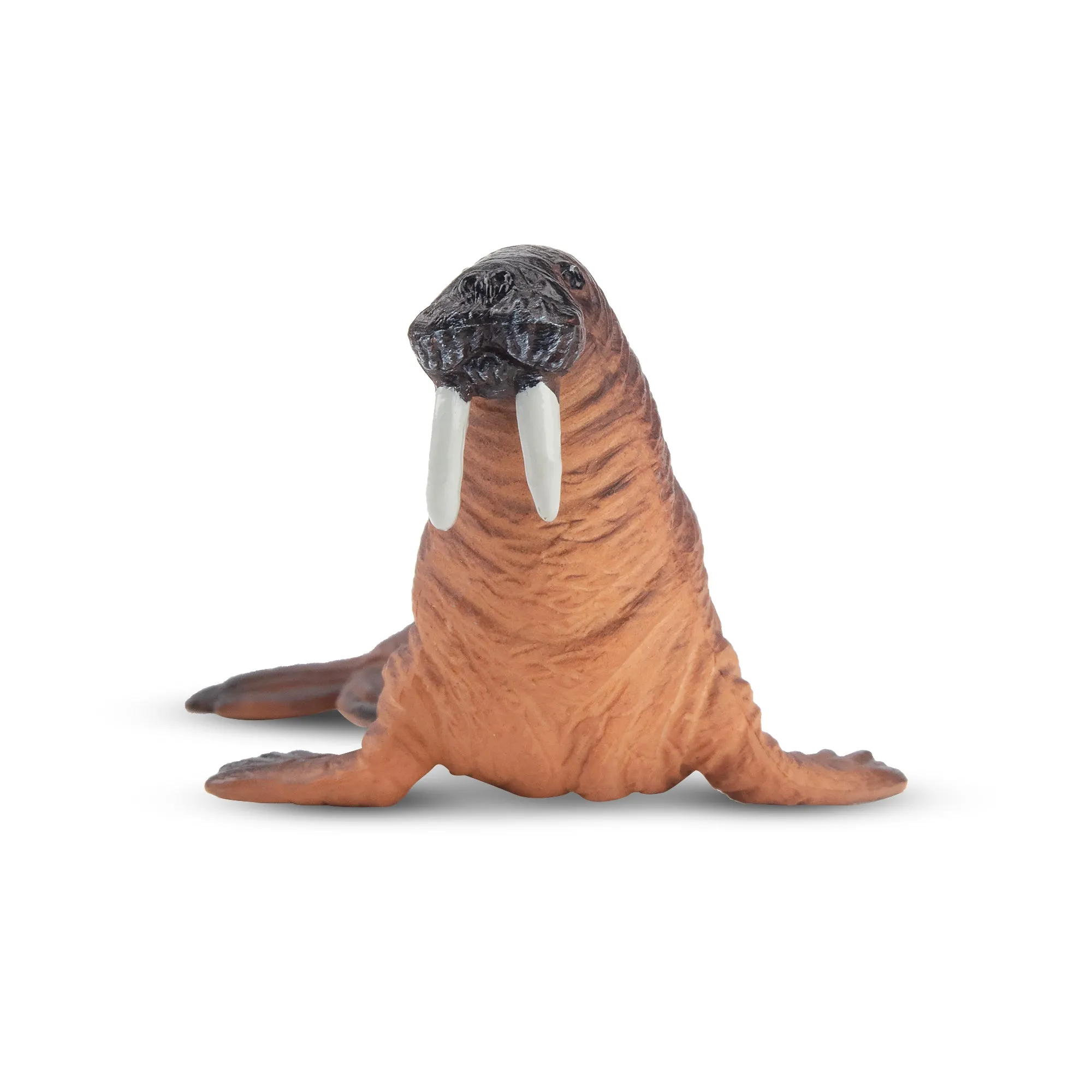 Toymany Walrus Figurine Toy - Small Size