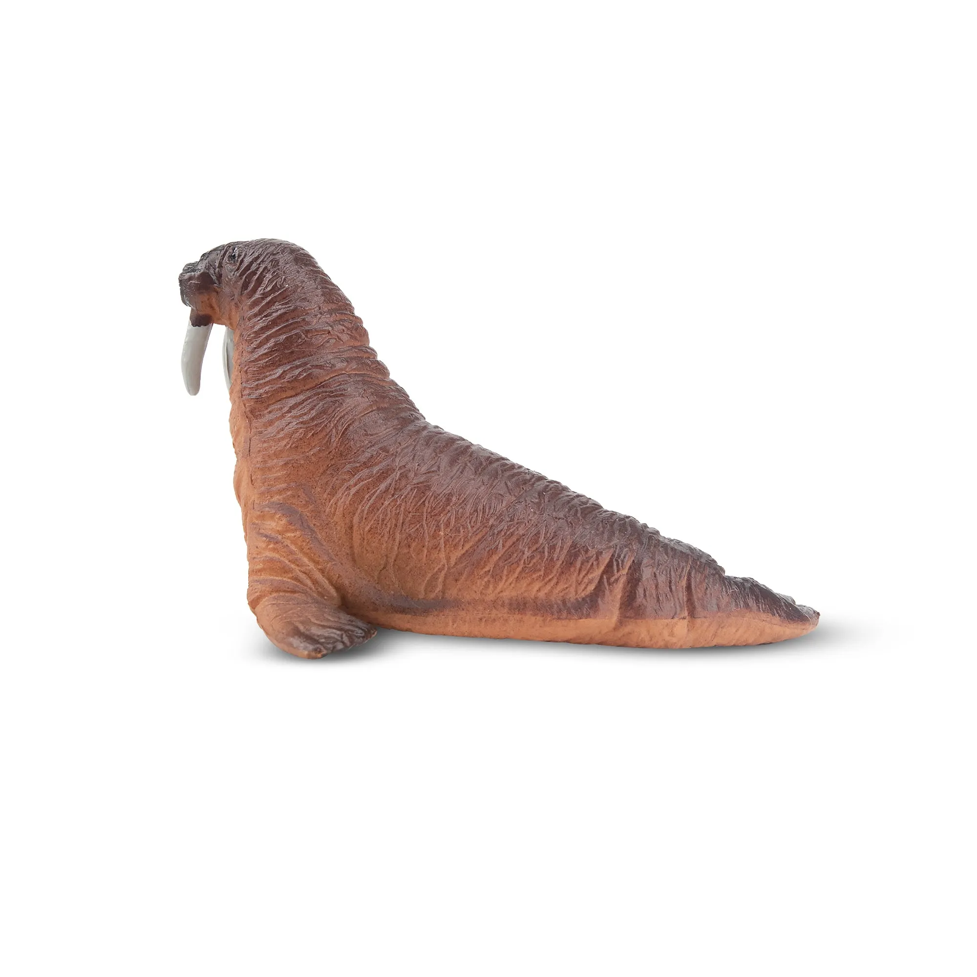 Toymany Walrus Figurine Toy - Small Size